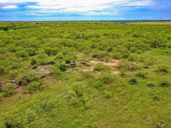 TBD FM 175 , Jacksboro, TX 76365