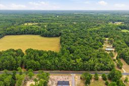2919 Jones Swamp Road photo 4