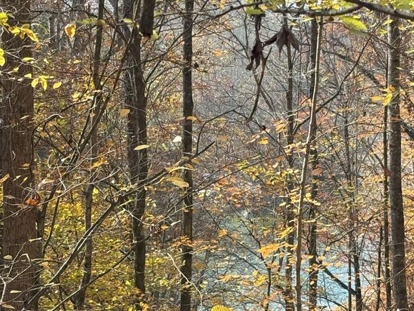 0 Old Tullahoma Rd, Estill Springs, TN 37330