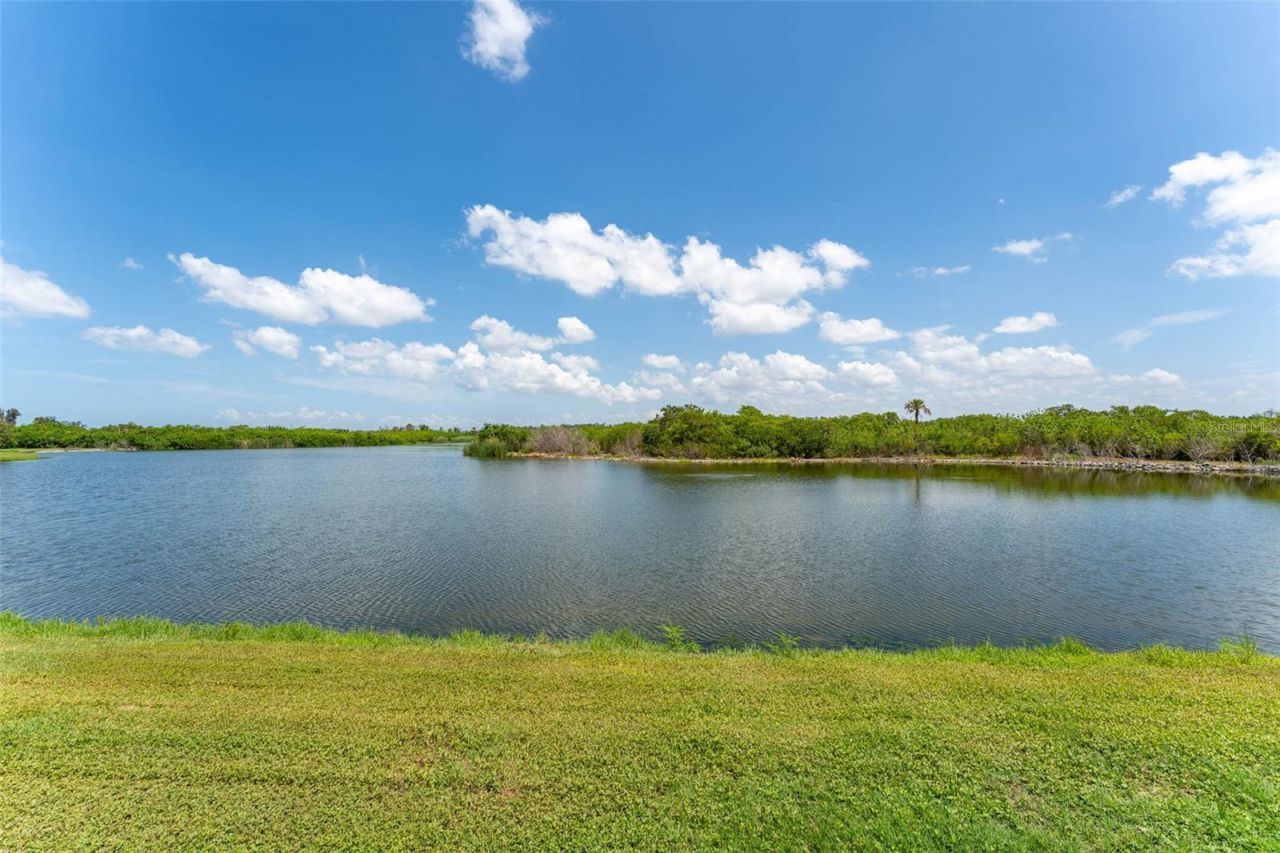 3719 Lively Coral Place, Bradenton, FL 34208 Photo