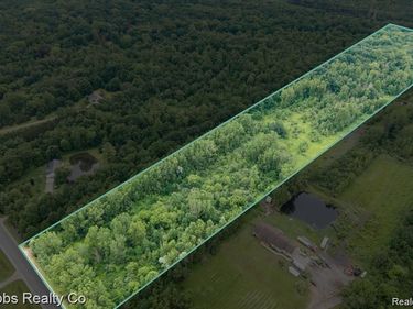 9265 Birch Run Rd., Arbela Township, Mi 48746