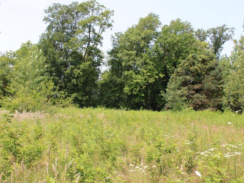 3208 Greenwich East Town Line Rd S, Greenwich, OH 44837 Photo 8