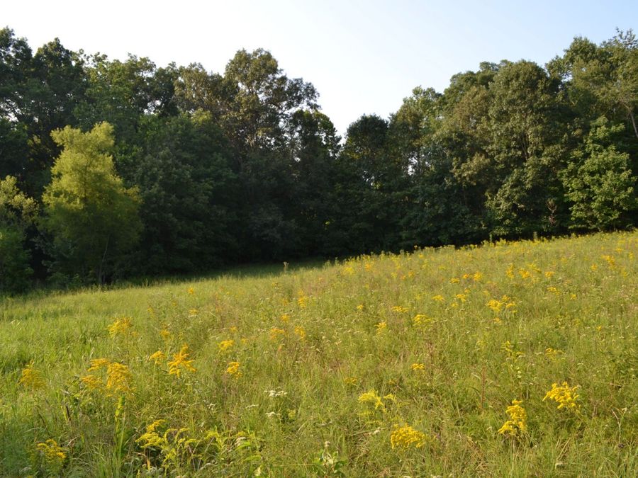 Property Image 18