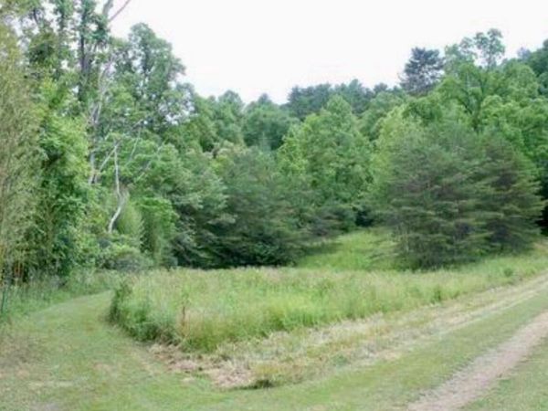 TBD Harts Crossing Way, Del Rio, TN 37727