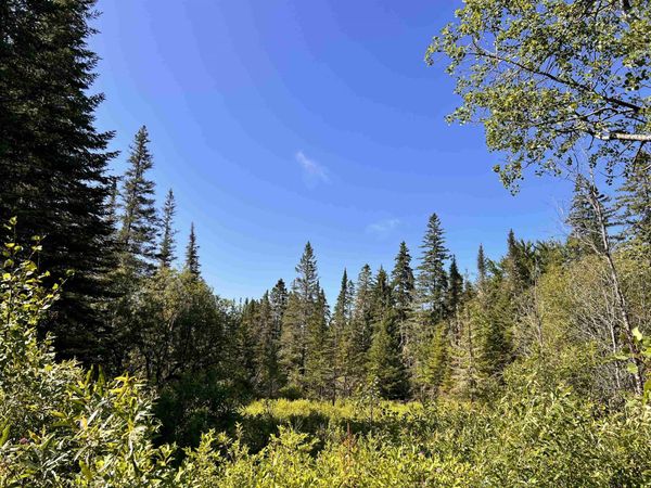 00 Noyes Road, Stewartstown, NH 03597