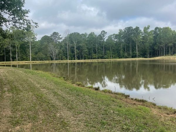 0 GRAHAM ROAD Graham Road, Hogansville, GA 30230