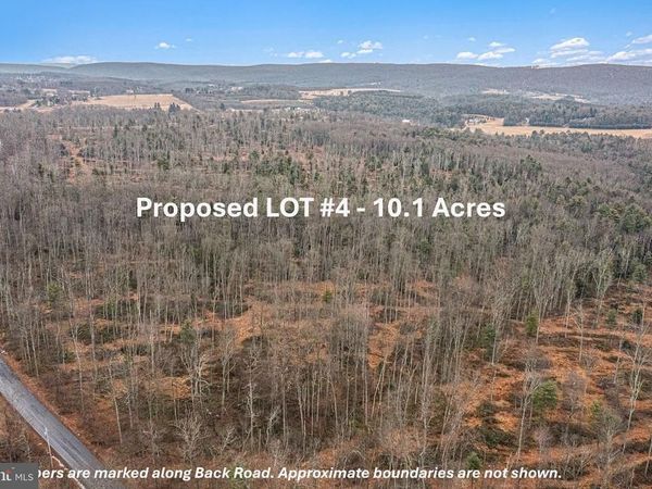 LOT 4 BACK ROAD S, BARNESVILLE, PA 18214