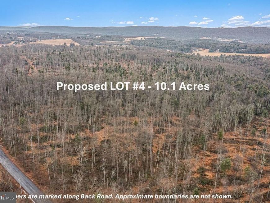 Lot 4 Back Road S, Barnesville, PA 18214 Main Photo