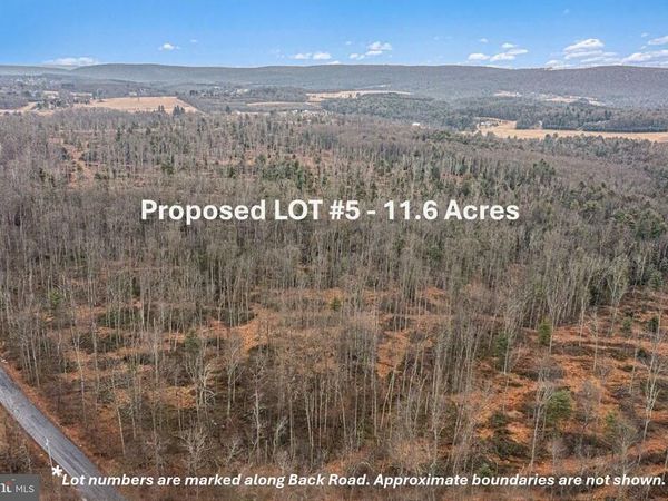 LOT 5 BACK ROAD S , BARNESVILLE, PA 18214