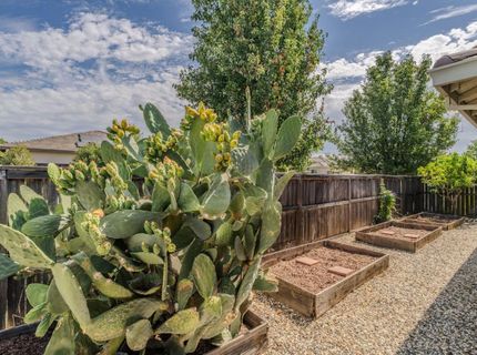 129 Callaway Ln, Ione, CA 95640 Photo