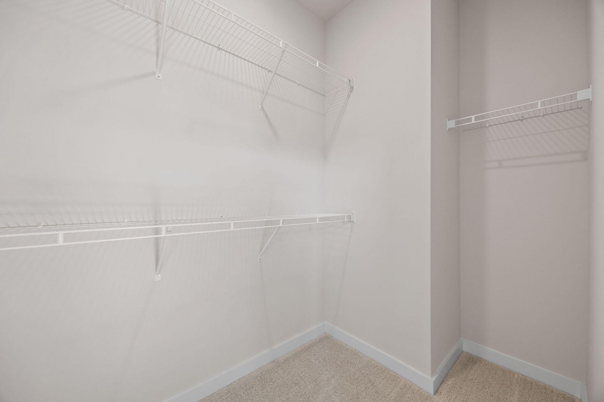 548 Scholar Way Photo 26