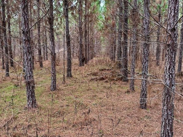 TBD John M Brewton Rd, Glennville, GA 30427