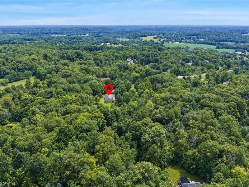 3536 Longwood Drive, Medina, OH 44256 Photo 9