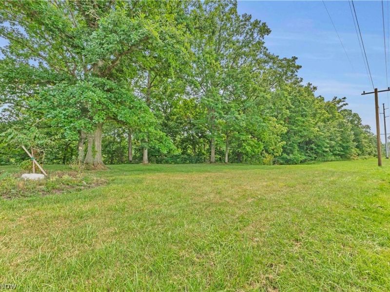 19971 Indian Hollow Road, Wellington, OH 44090 Photo 2