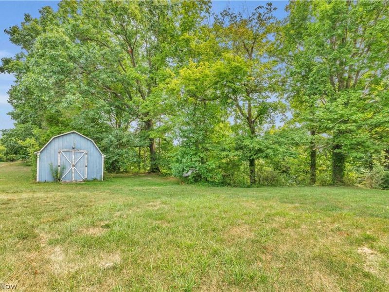 19971 Indian Hollow Road, Wellington, OH 44090 Photo 3