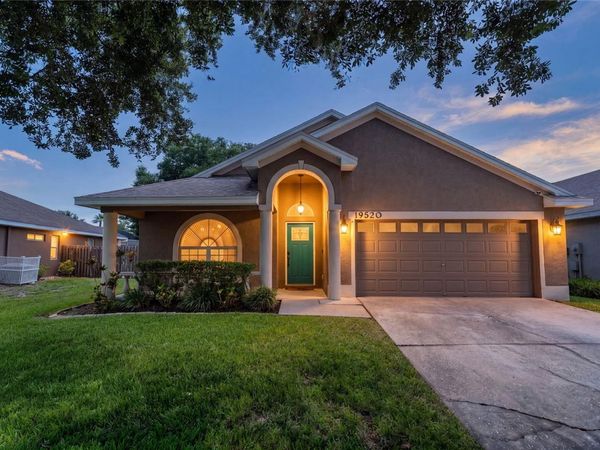19520 MORDEN BLUSH DRIVE , LUTZ, FL 33558