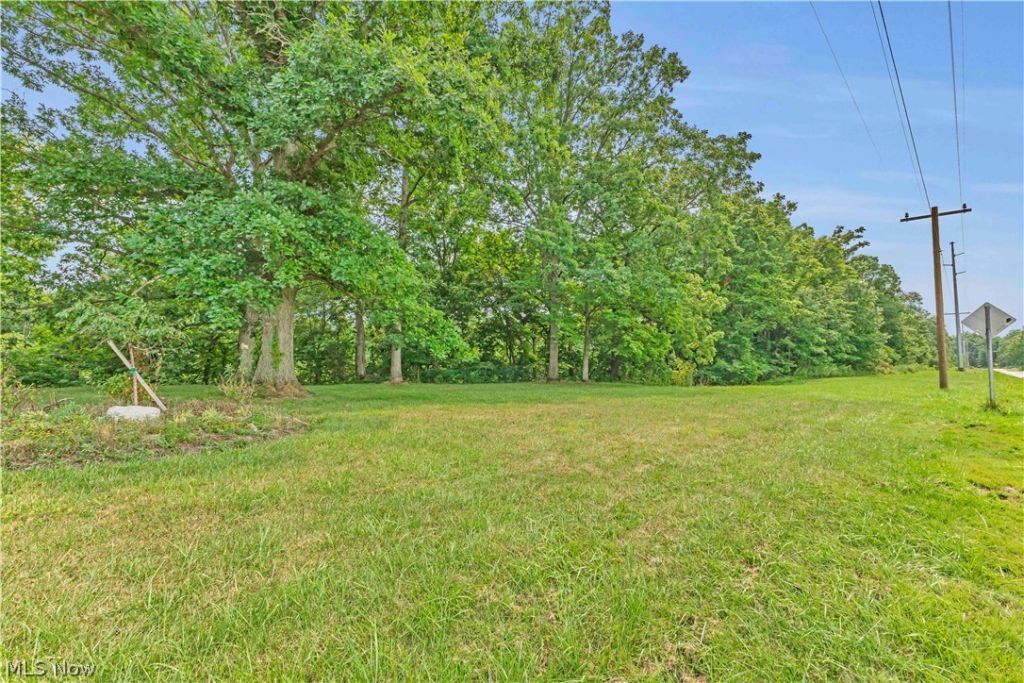 Indian Hollow Road, Wellington, OH 44090 Main Photo