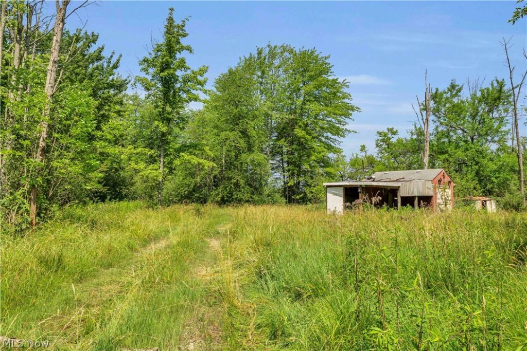 Indian Hollow Road, Wellington, OH 44090 Main Photo