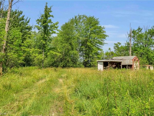 Indian Hollow Road, Wellington, OH 44090