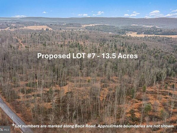 LOT 7 BACK ROAD S , BARNESVILLE, PA 18214