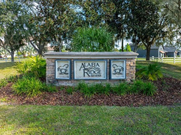 103 ALAFIA ESTATES LANE , PLANT CITY, FL 33567