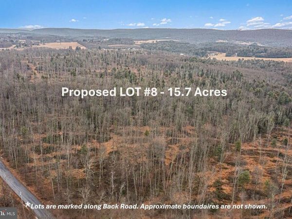 LOT 8 BACK ROAD S , BARNESVILLE, PA 18214