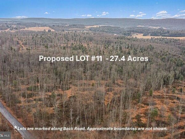 LOT 11 BACK ROAD S , BARNESVILLE, PA 18214