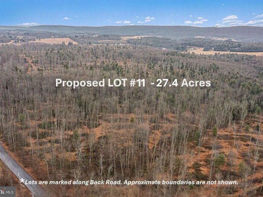 Lot 11 Back Road S , Barnesville, PA 18214 Main Photo