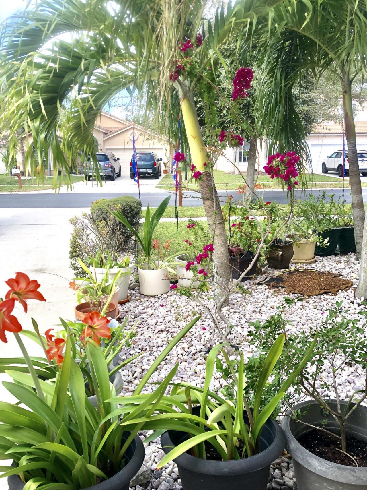 139 Preserve Drive, Royal Palm Beach, FL 33411 Photo