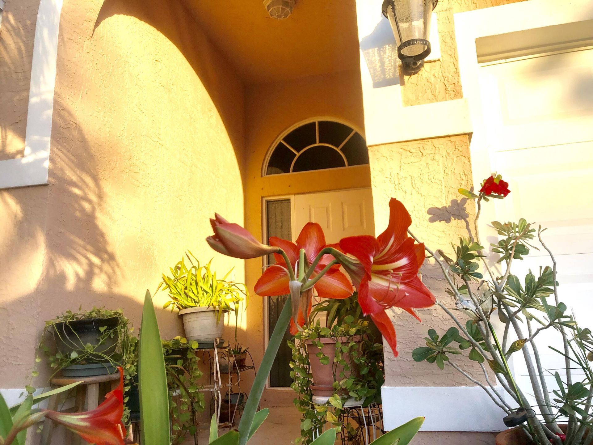 139 Preserve Drive, Royal Palm Beach, FL 33411 Photo