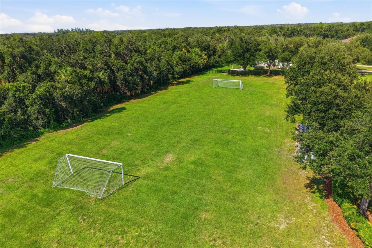 15449 Mulholland Road, Parrish, FL 34219 Photo