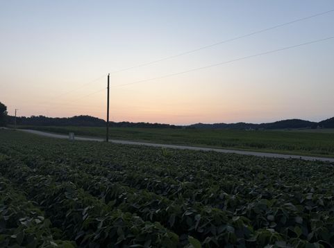 Main Photo