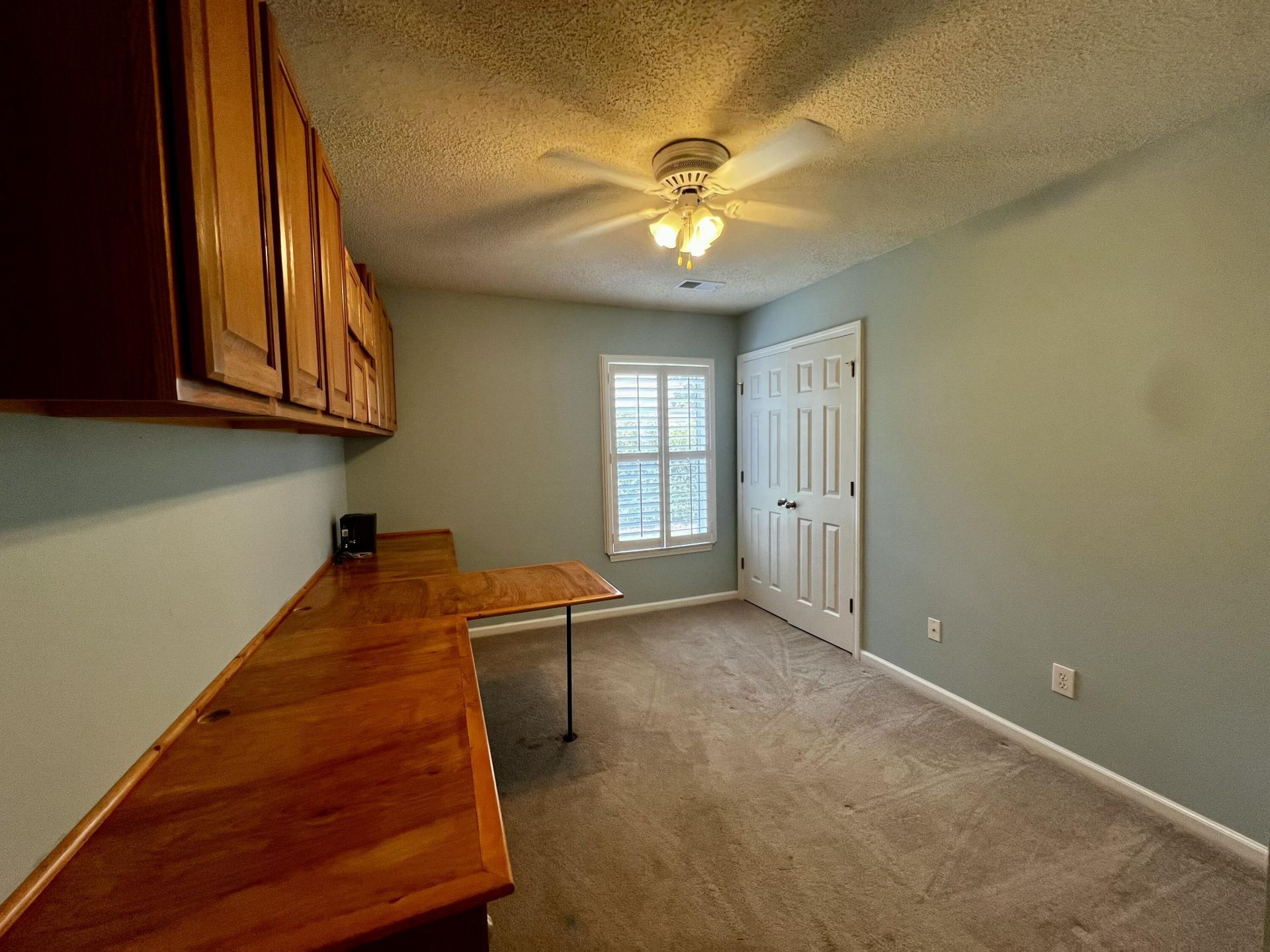 1019 Golden Aspen Drive Photo 10
