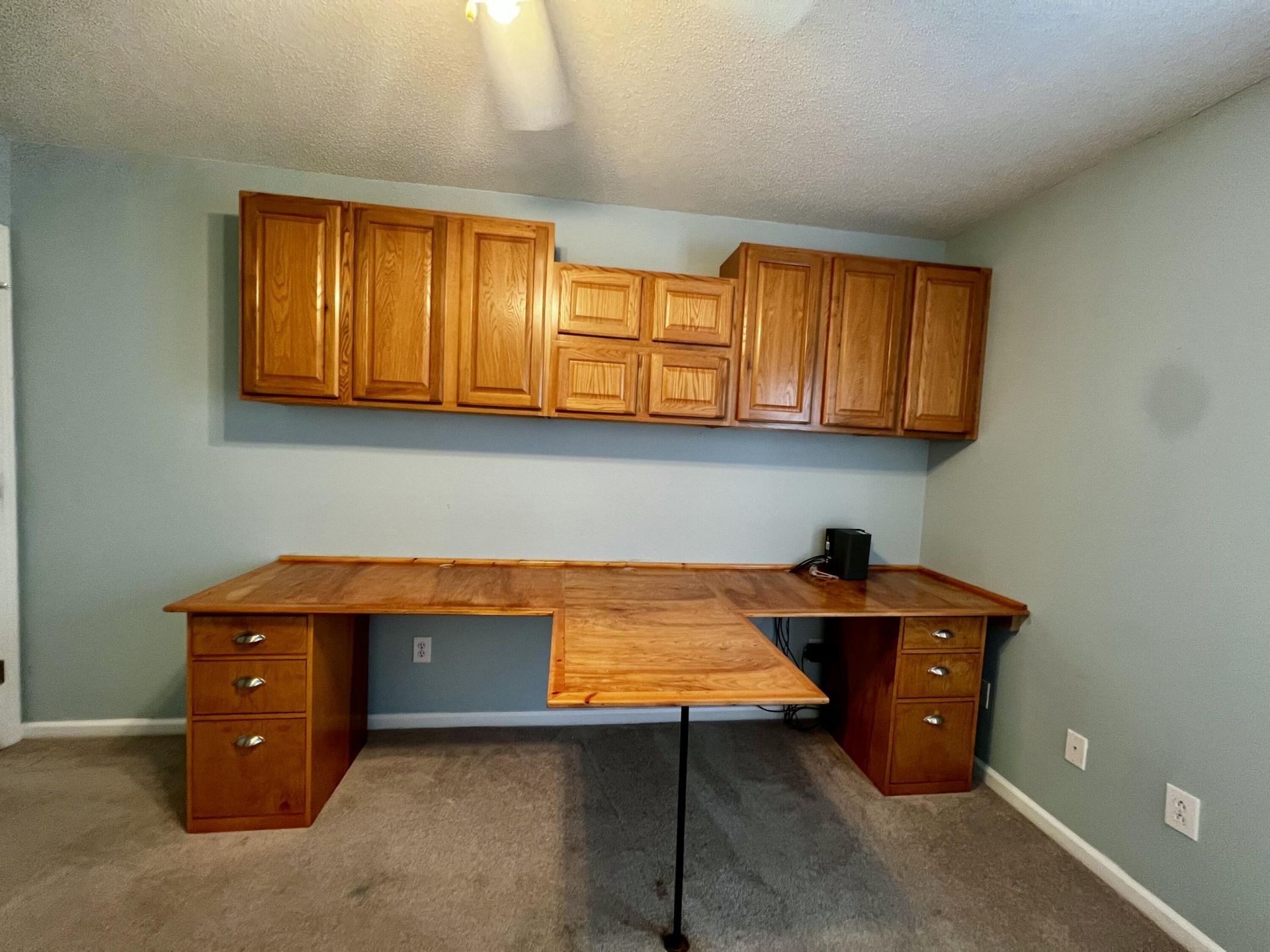 1019 Golden Aspen Drive Photo 11