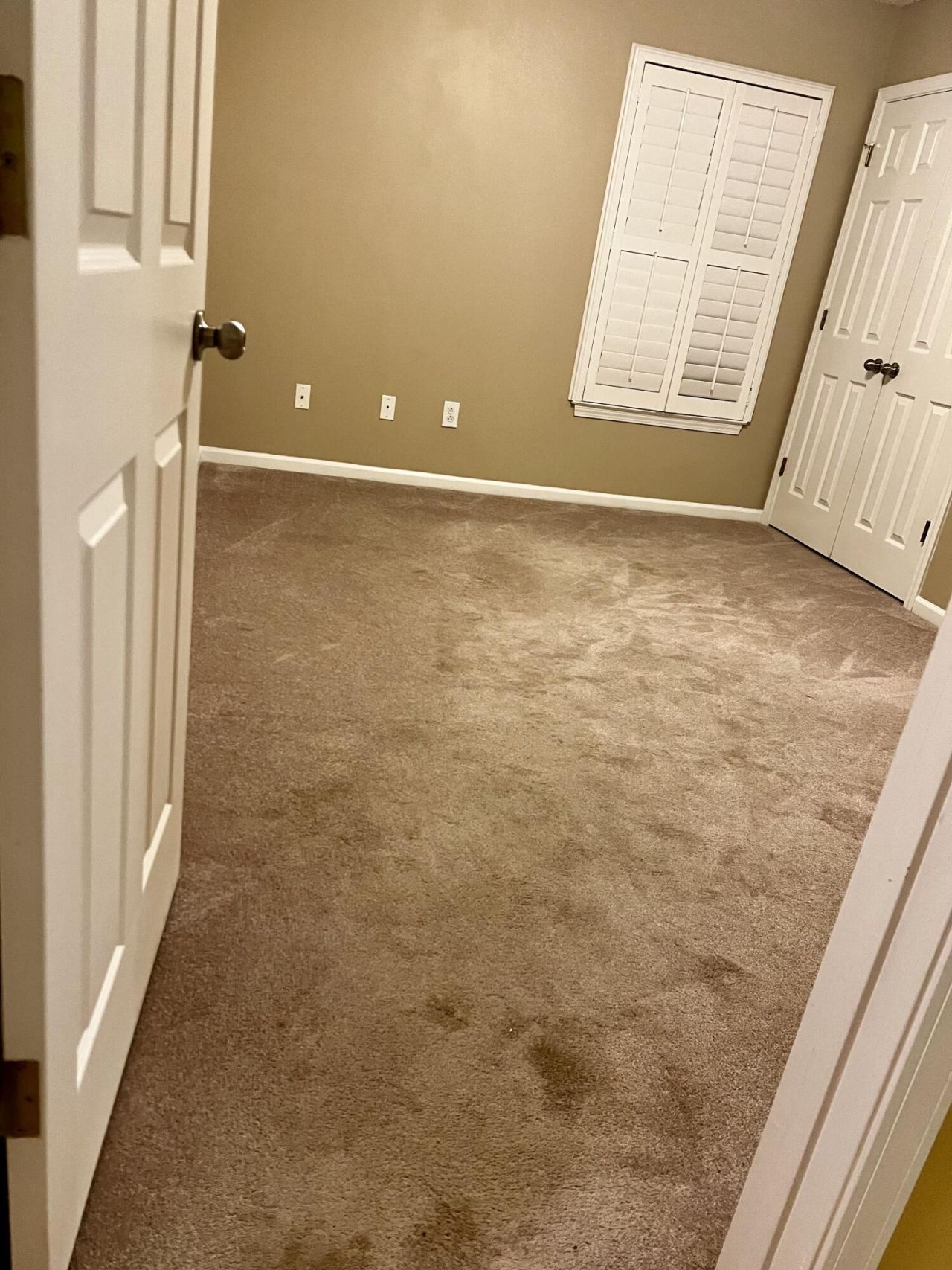 1019 Golden Aspen Drive Photo 11