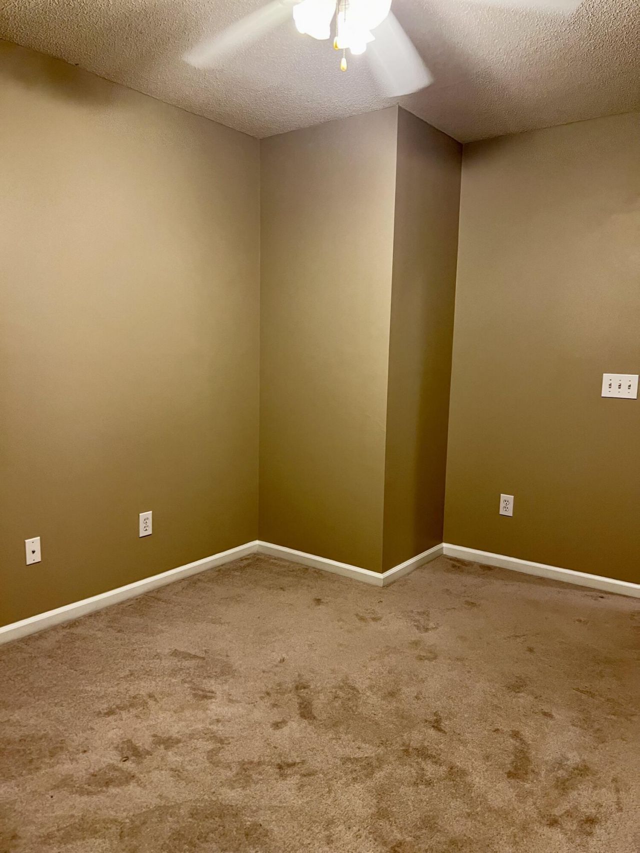 1019 Golden Aspen Drive Photo 12