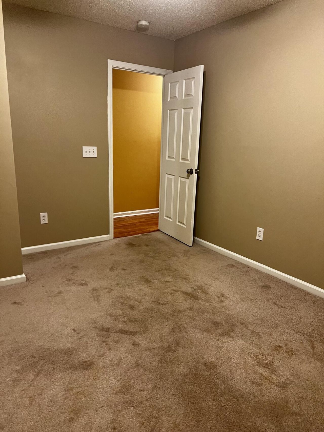 1019 Golden Aspen Drive Photo 14