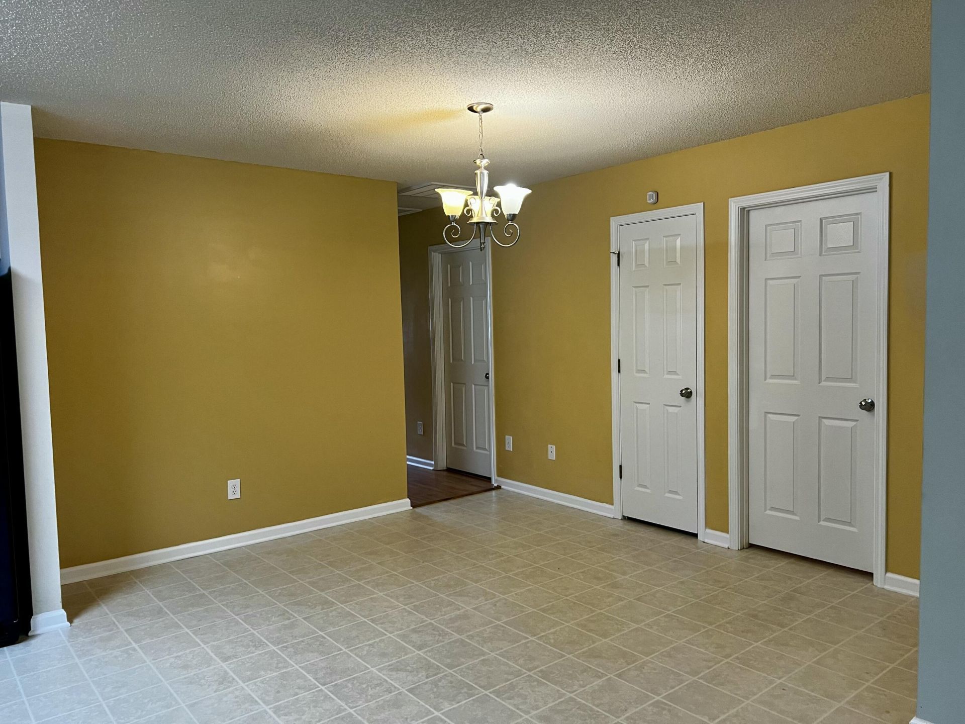 1019 Golden Aspen Drive Photo 4