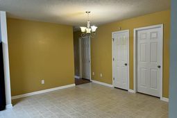 1019 Golden Aspen Drive photo 4