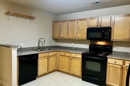 1019 Golden Aspen Drive photo 4