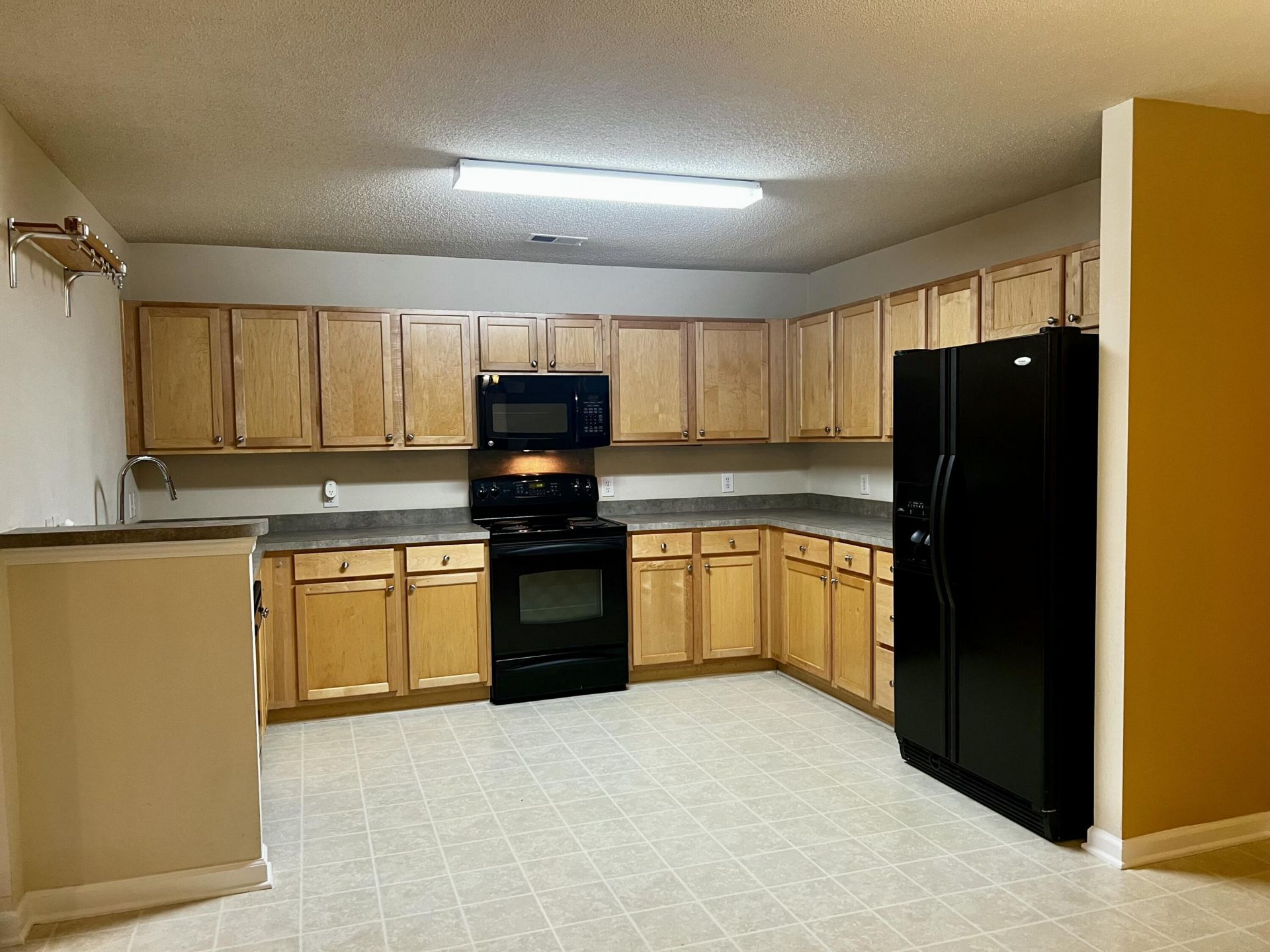1019 Golden Aspen Drive Photo 6