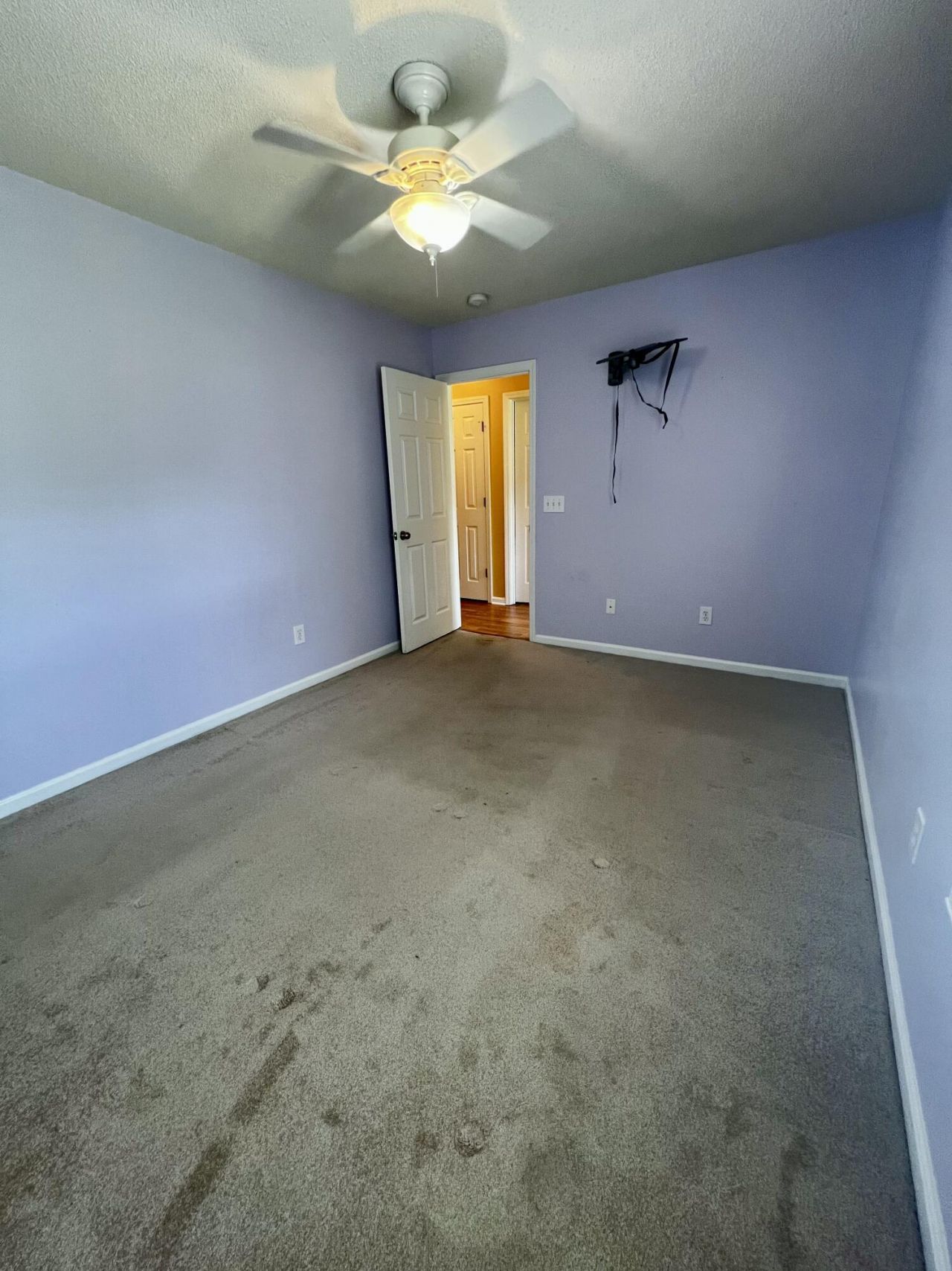 1019 Golden Aspen Drive Photo 9