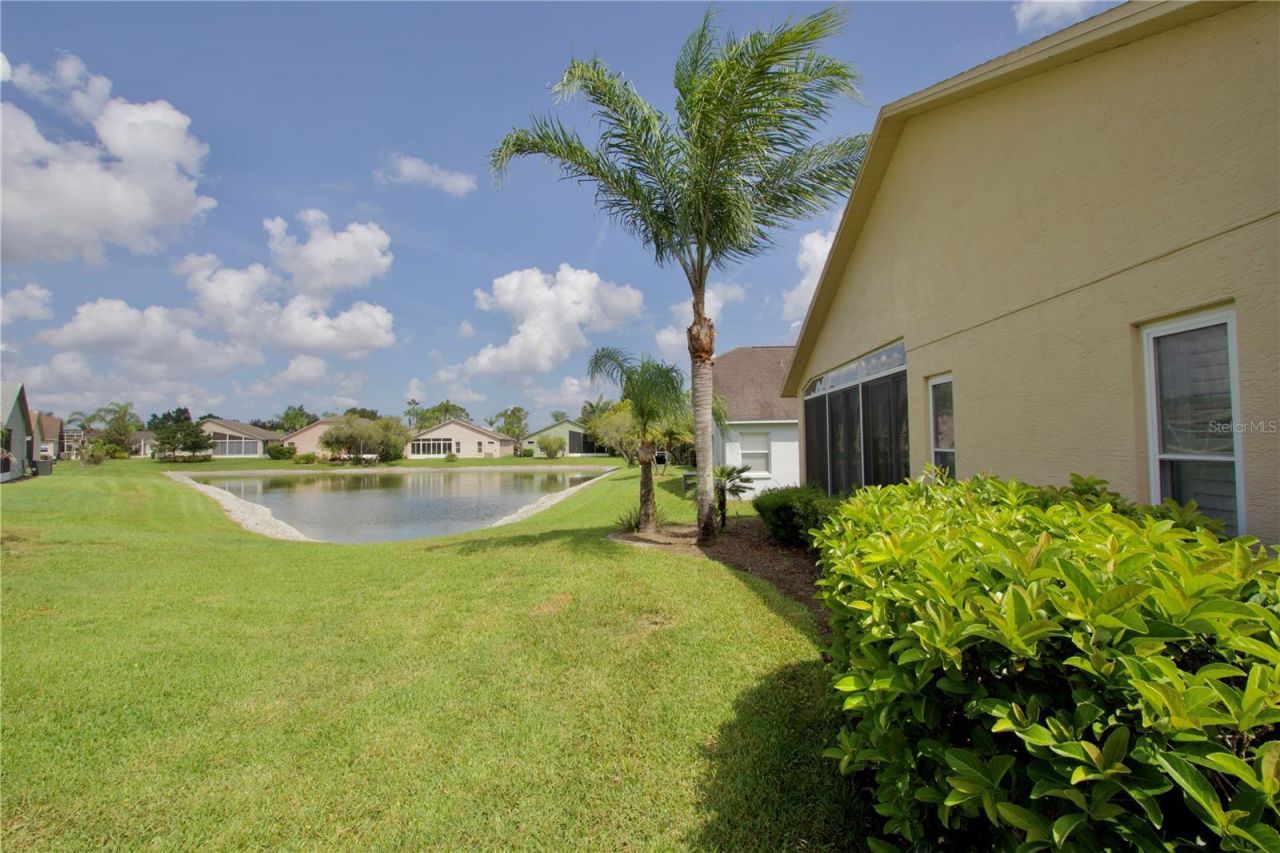 1146 Dustan Place , Trinity, FL 34655 Photo