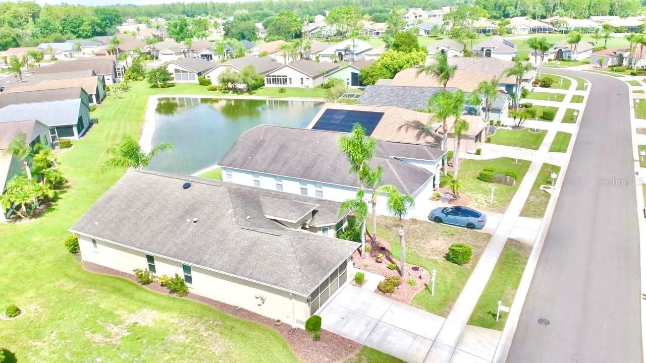1146 Dustan Place , Trinity, FL 34655 Photo