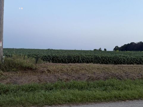 Main Photo