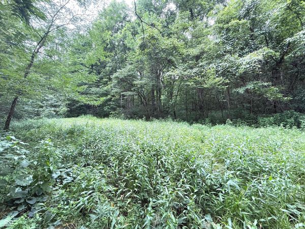 00000 E Ferndale Road, Rockville, IN 47872