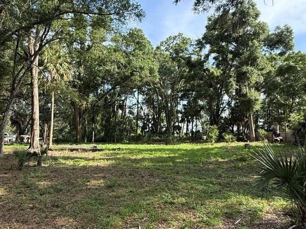 25555 SE Hwy 19, Old Town, FL 32680