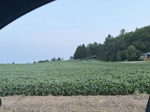 Main Photo