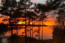 2273a Horton Cove Road  photo 4