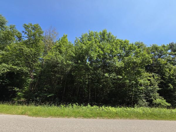 0 S Cottage RD, Barbeau, MI 49710